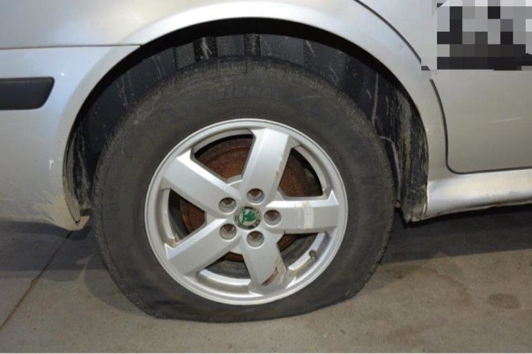 Polícia, auto