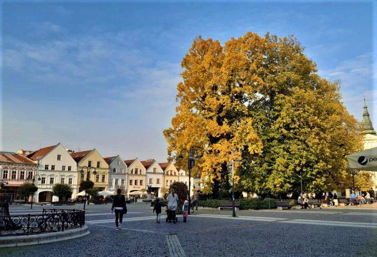 Žilina, ulica