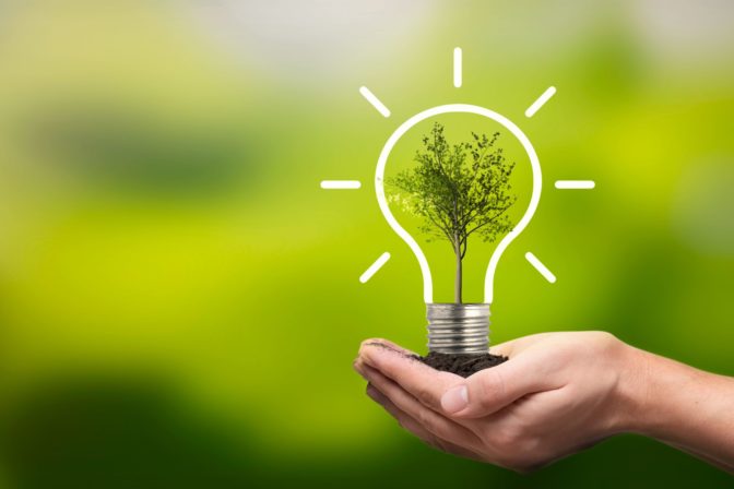 Ecological friendly and sustainable environment