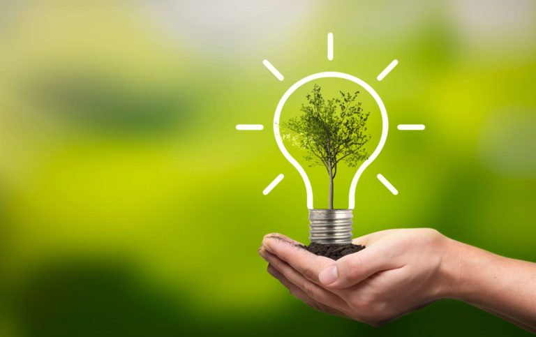 Ecological friendly and sustainable environment