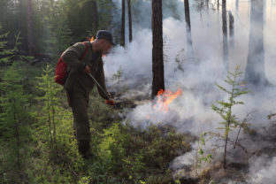 Požiar, les, Rusko