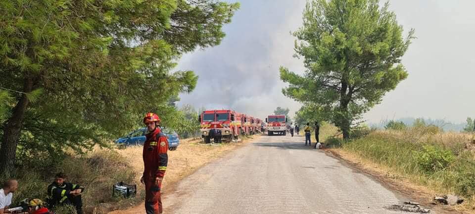 Hasiči, lesné požiare