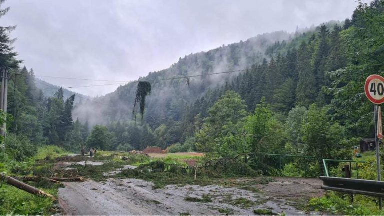 Popadané stromy, búrka, počasie