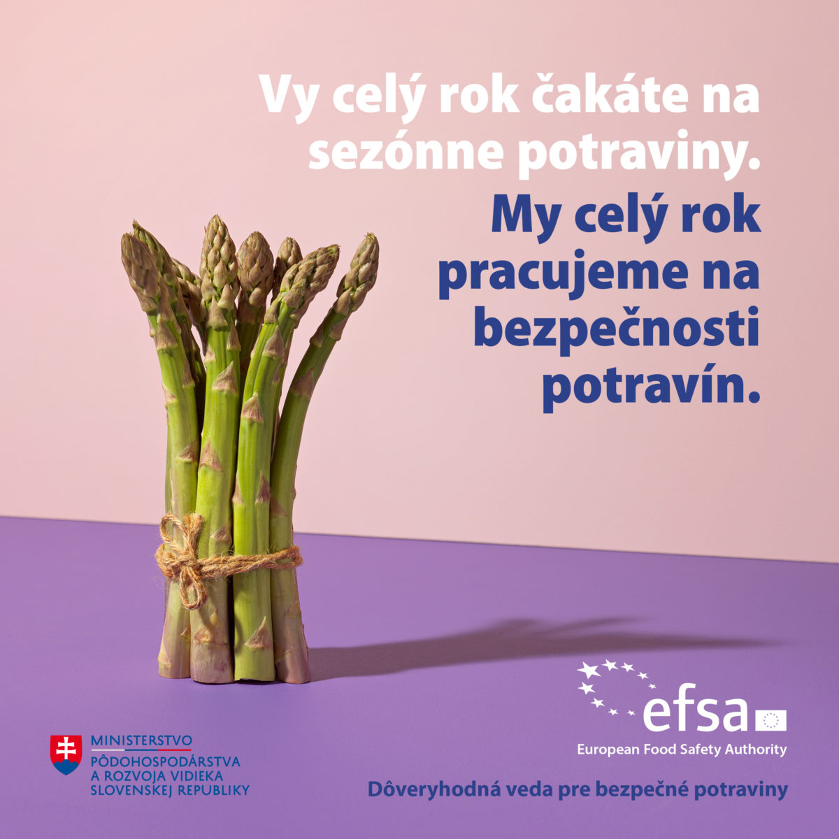 Efsa stills_white_1200x1200px_sk.jpg