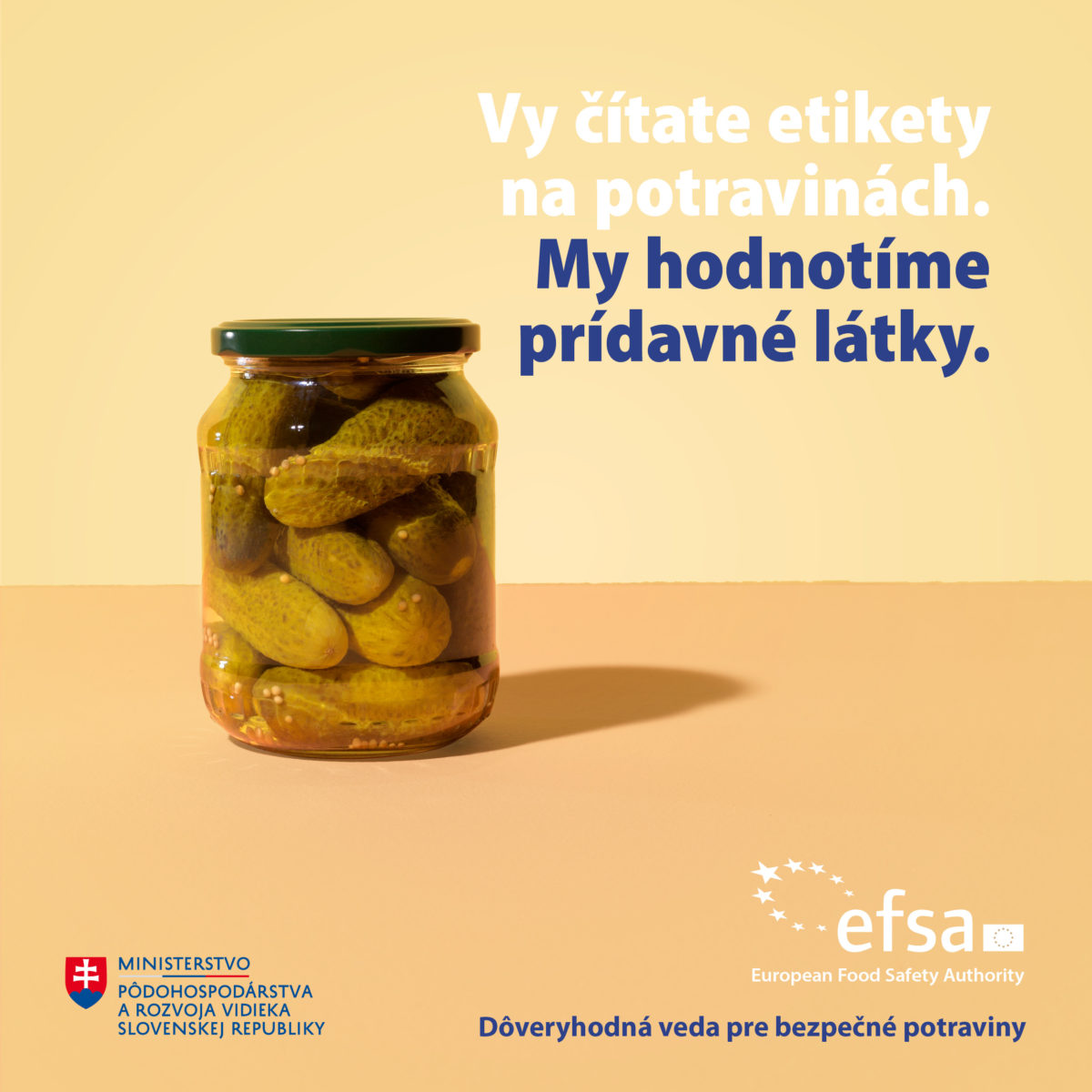 Efsa stills_white_1200x1200px_sk4.jpg