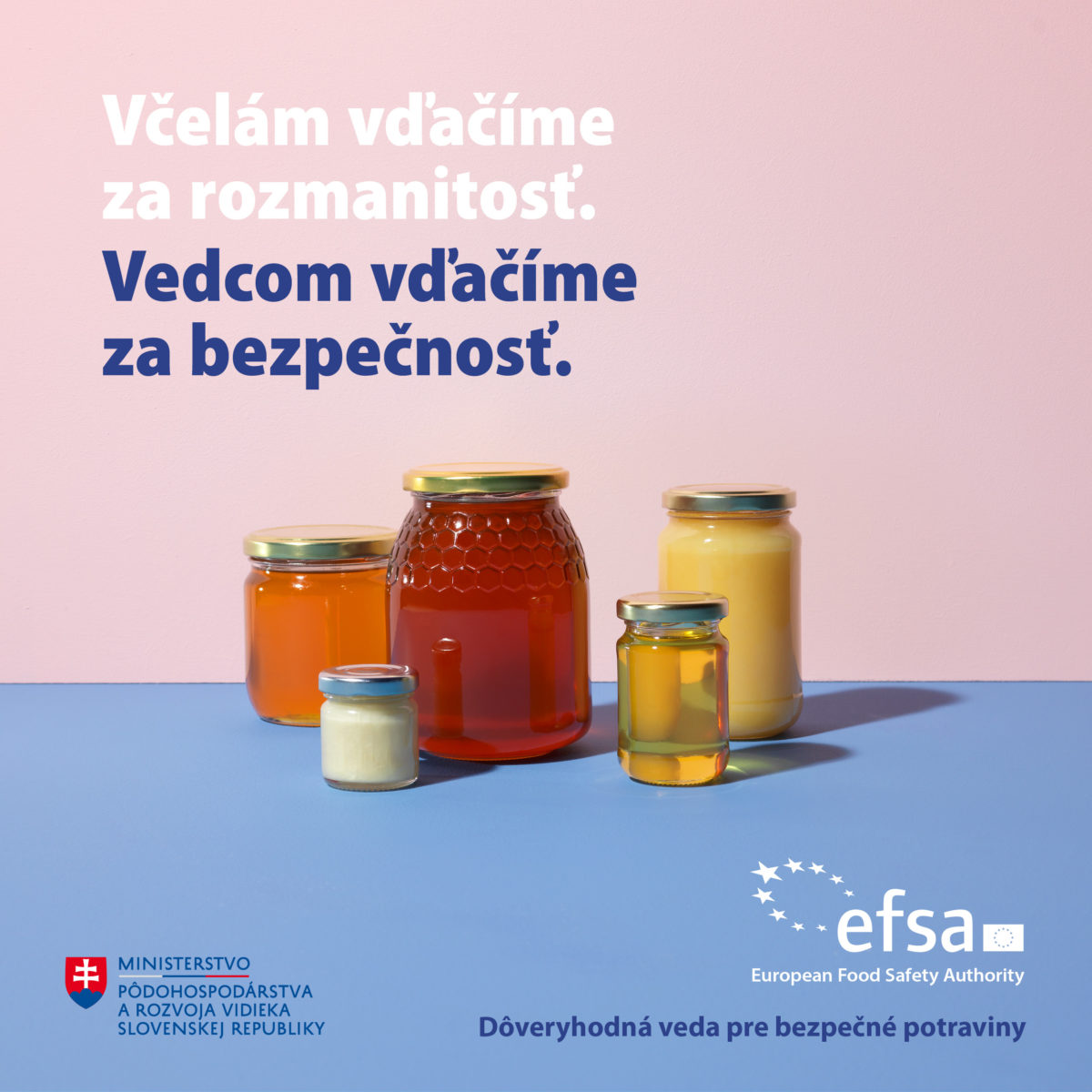 Efsa stills_white_1200x1200px_sk5.jpg