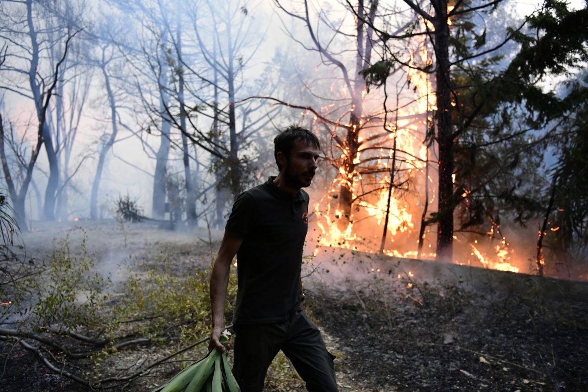 Greece Wildfire
