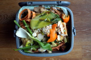 Container of domestic food waste, ready to be collected by the r