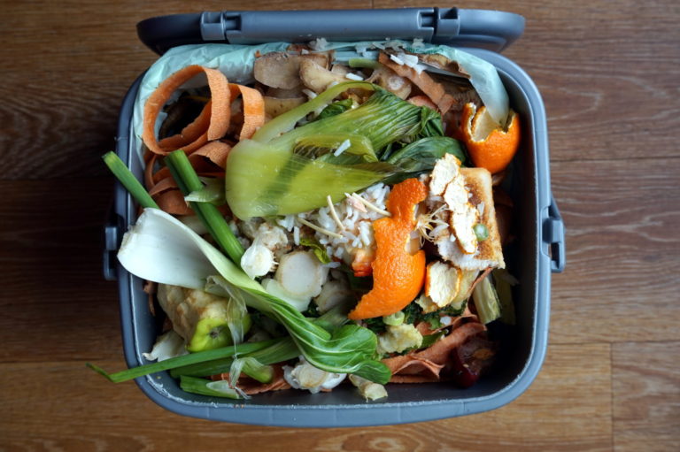 Container of domestic food waste, ready to be collected by the r