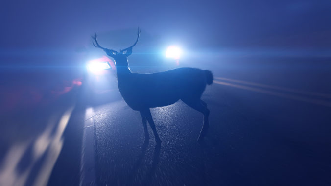 3d rendered illustration of a deer infront of a car
