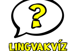 Lingvakviz logo 676x676 1.jpg