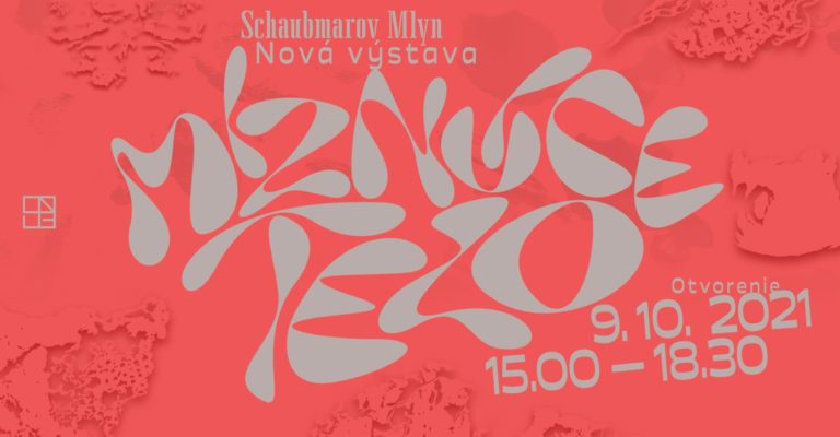 Vizua l_miznu ce telo.jpeg
