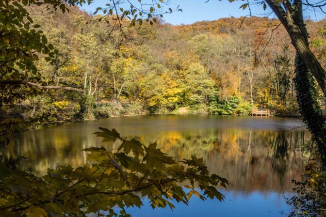 Jesenná príroda v rekreačno-oddychovej lokalite v Bratislavskom lesnom parku. Bratislava, 6. november 2021.