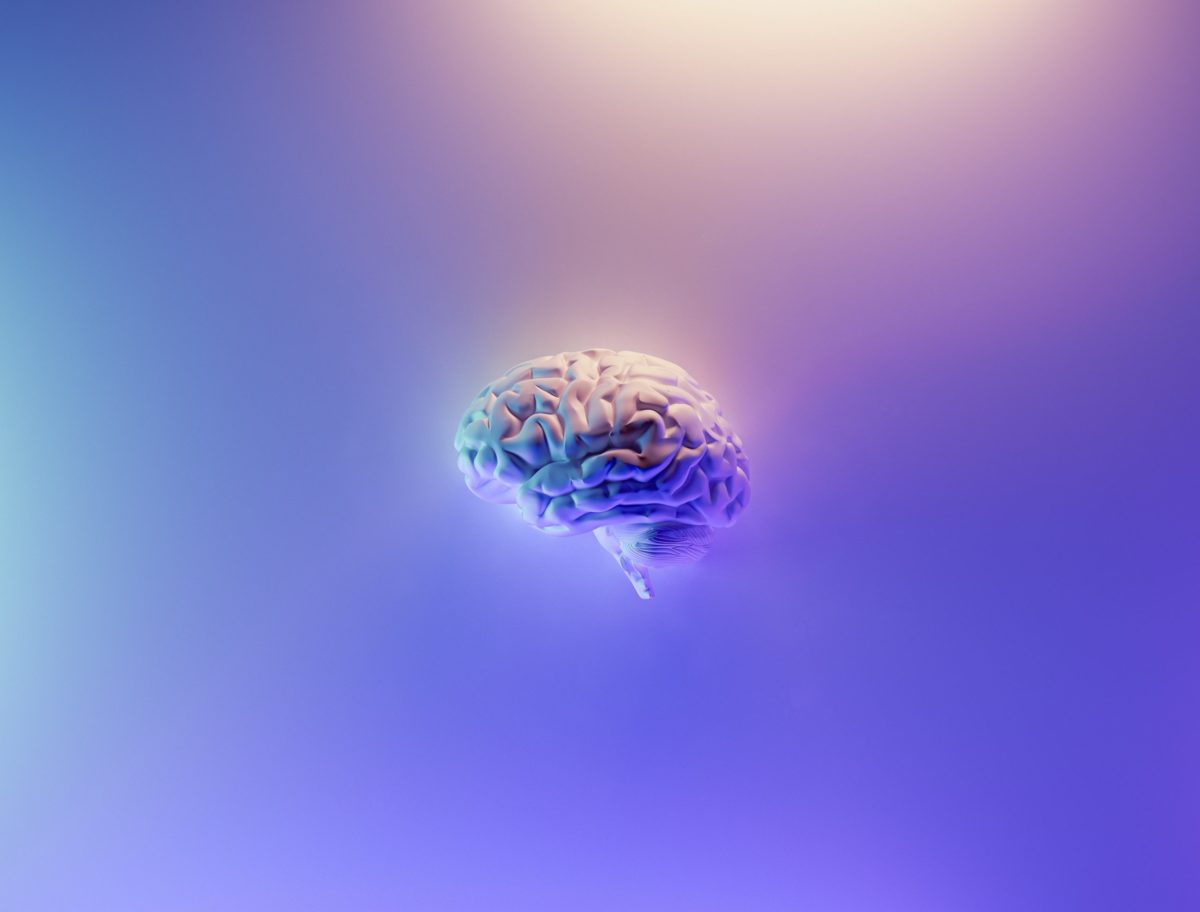 Fakurian design 58z17lnvs4u unsplash 1.jpg