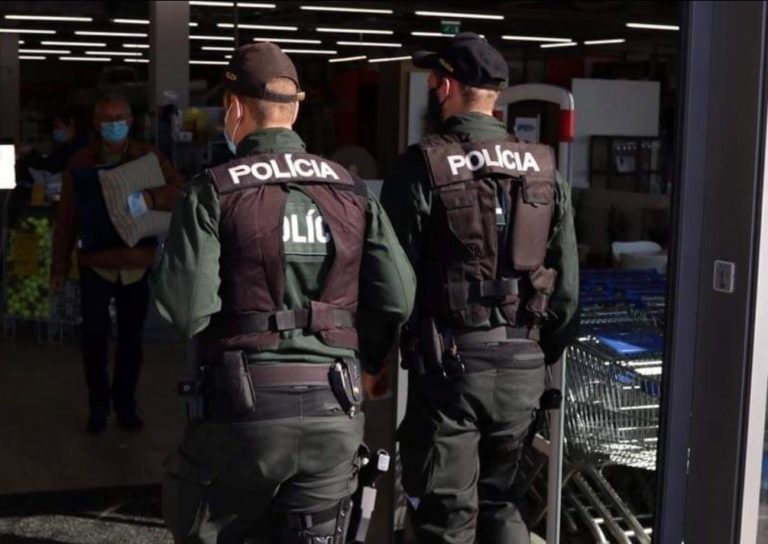 Trnavská polícia, polícia