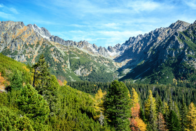 Les, Vysoké Tatry