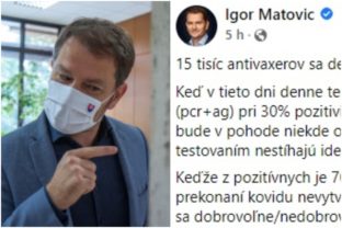 Igor Matovič, status