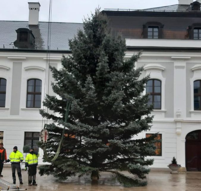 Vianočný stromček, prezidentský palác