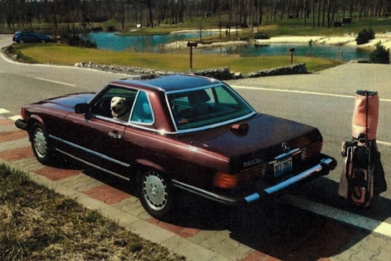 Mercedes Benz 560 SL