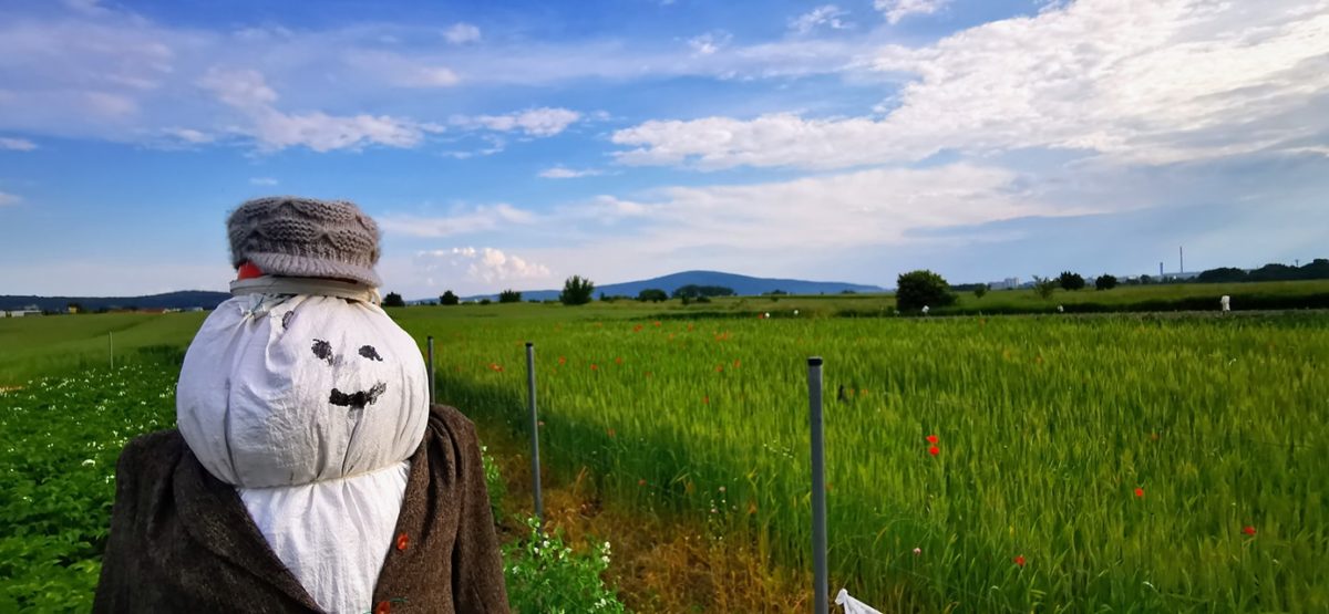 4. strazca urody_zdroj_plzensky prazdroj slovensko.jpg