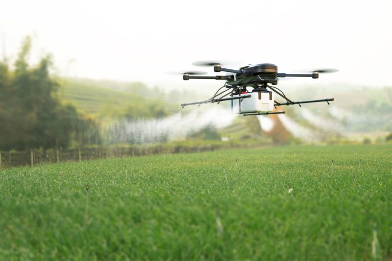 Dron, príroda
