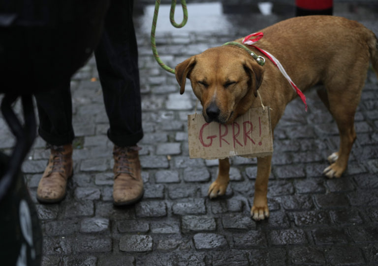 Protest, demonštrácia
