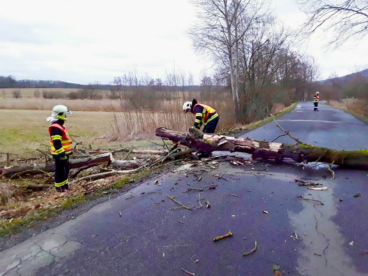 Vietor, hasiči, silný strom