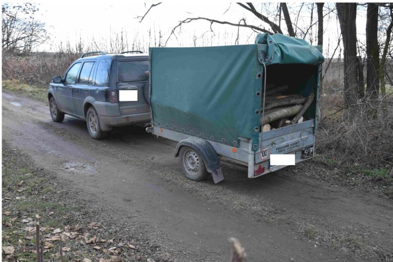Krádež, drevo