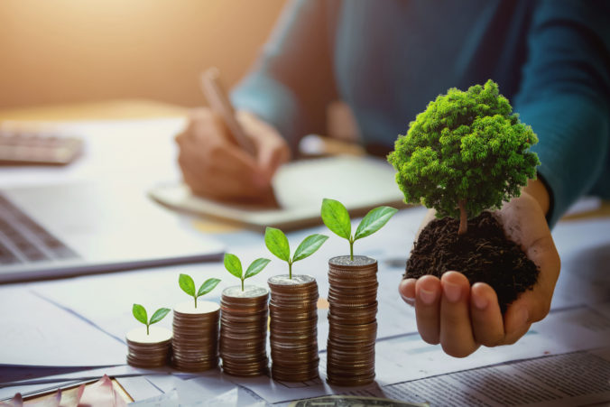 Business,Woman,Hand,Holding,Tree,With,Plant,Growing,On,Coins.