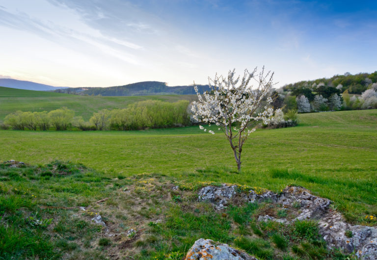 NP Slovenský kras