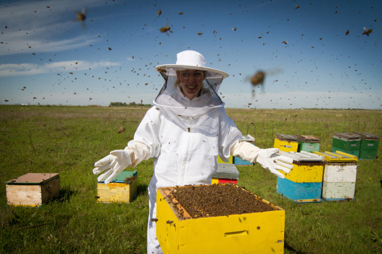 All bees are mine