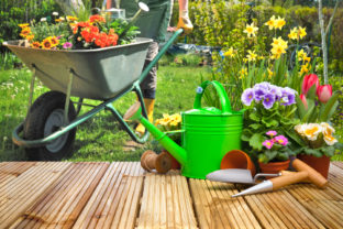 Gardening,Tools,And,Flowers,On,The,Terrace,In,The,Garden