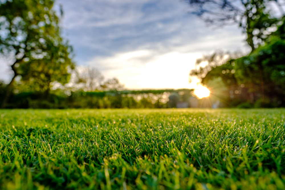 Sunset,View,Of,A,Large,,Well,Maintained,Large,Garden,Seen