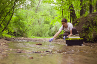 Woman ecologist taking samples of water from the creek