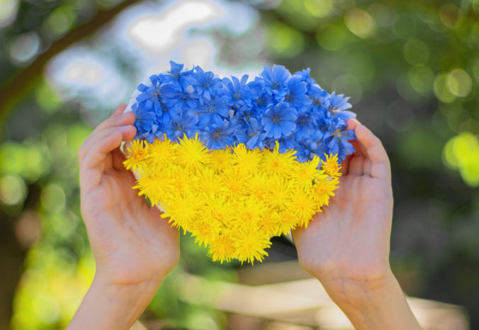 Heart made of blue and yellow flowers in the hands of a child.