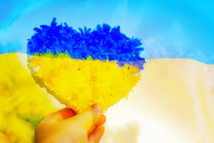 Independence of Ukraine. National Ukrainian flag. hand holds a blue yellow heart made of flowers.