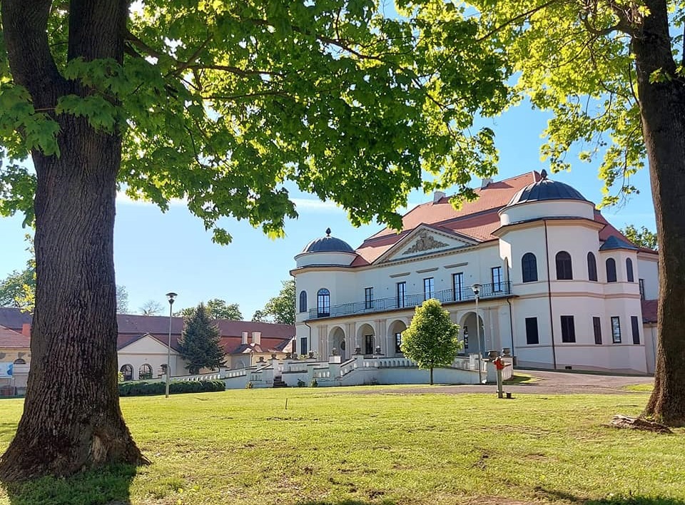 Koniarne zemplinske muzeum michalovce.jpg