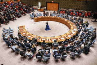 Bezpečnostná rada Organizácie Spojených národov (BR OSN)