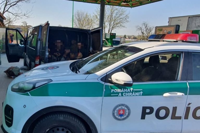 Nelegálni migranti, polícia