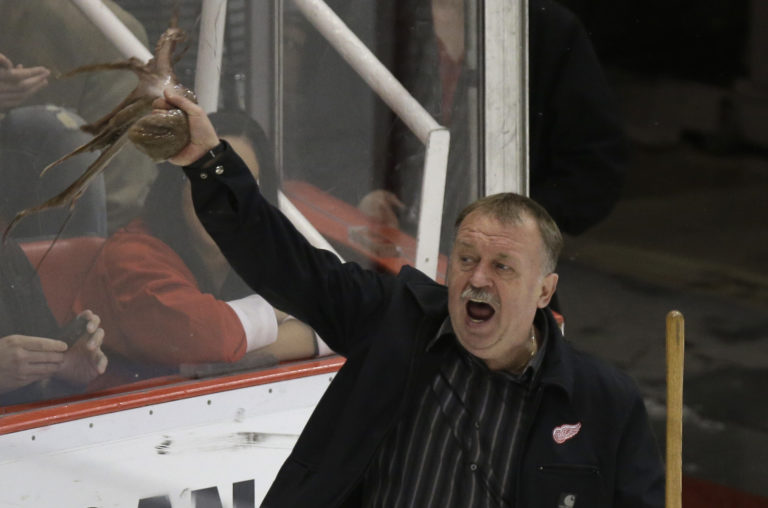 Red Wings Sobotka Hockey
