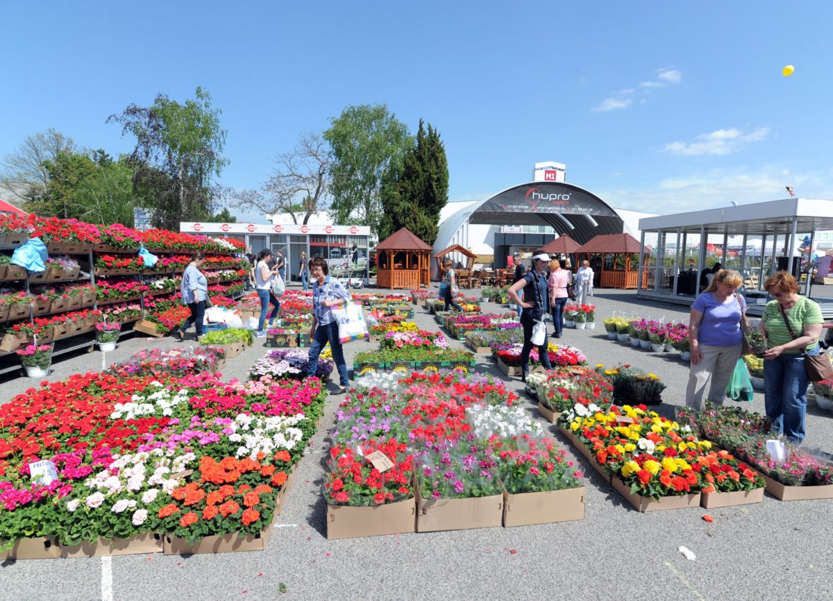 Agrokomplex Národné výstavisko