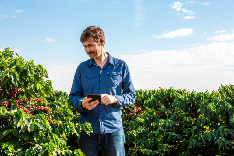 Farmer in coffee plantation