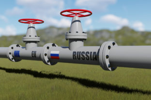 Ruský plynovod, plyn