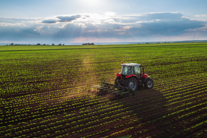 Pole, traktor, farma