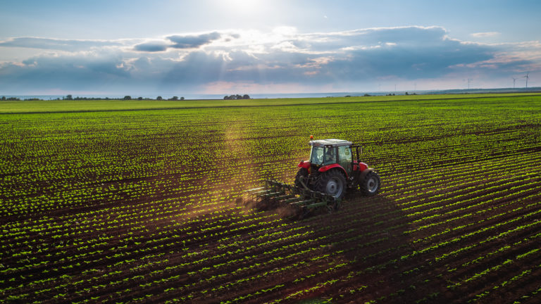 Pole, traktor, farma