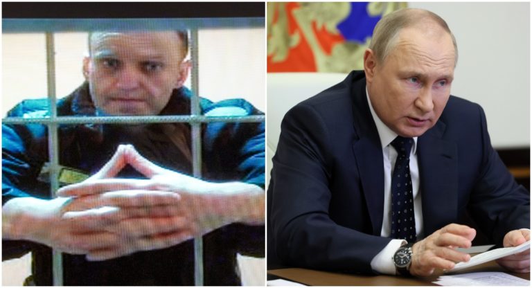 Navaľnyj, Putin