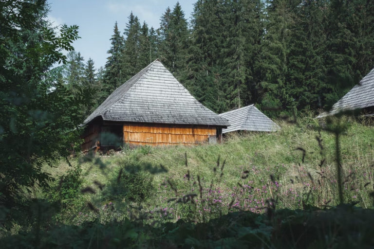 1 5.jpg