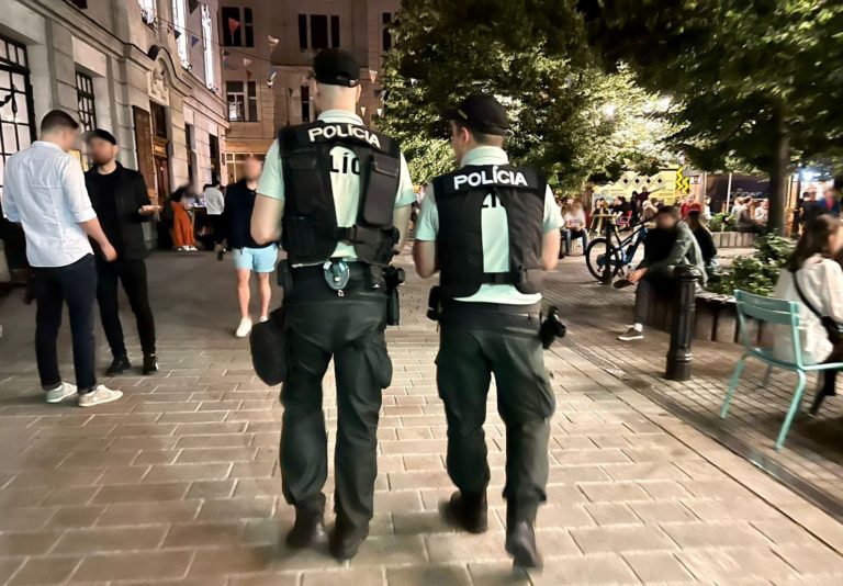 Policajti v teréne