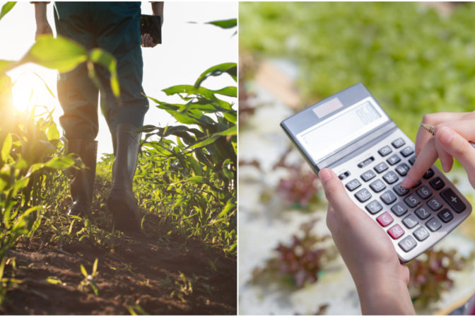 Farmár, kalkulačka