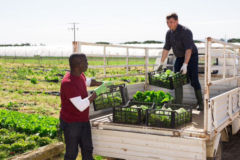 Sezonna praca polnohospodarstvo novela zakona odvody praca